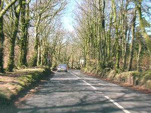 A39 - Wooded section - Exmoor