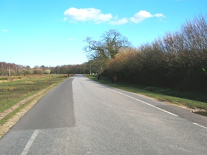 Approach to Brockenhurst