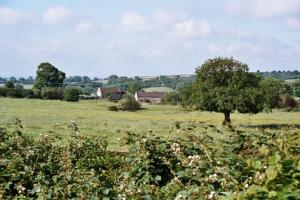 Derbyshire Farmland